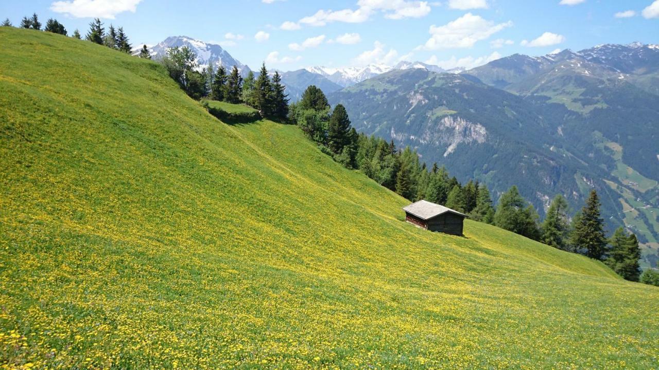 Hotel Eckartauerhof Mayrhofen Exterior foto